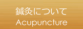 鍼灸について